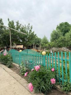 Azamat - Akchiy - 4
