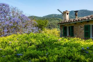 Cas Patró Lau Bis - 7