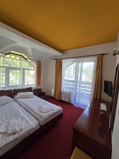 Casa Maria Azuga by Genco - Azuga - 7