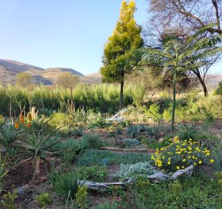 The Seed Pod Guesthouse - Modimolle - 9