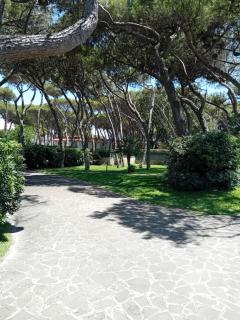 Comfortable and spacious villa - Baia Domizia - 6