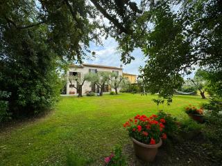 Casa Romana - Viareggio - 7