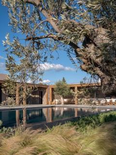 Beachfront Villa Oneiro with Sea Views - 3