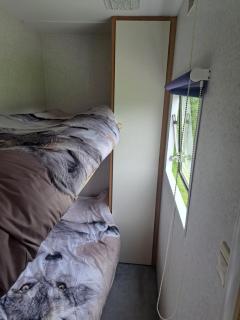 Ulinia Wilcza 4 beżowy - 2