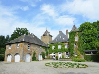 Delightful Castle in Bastogne with bubble bath - Bastenaken - 5