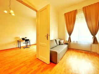 T11 Central Downtown Apartment - Budapest - 3