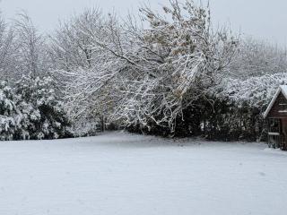 Welcome To Wrexham - Holt - 4