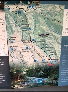 Cedar Lodge - Barrington Tops Salisbury - 9