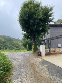 ゲストハウス坂の上のソルティーズ - 7