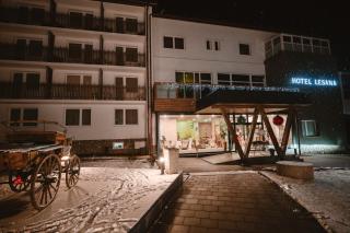 Hotel Lesana - Vysoké Tatry - 6