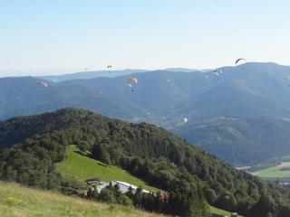 Aux Abords du Ruisseau - Saint-Maurice-sur-Moselle - 1