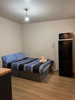 Unique stylish studio apartment - Londra - 1