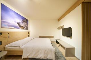 Labská 20 - apartmánový dům - Špindlerův Mlýn - 4