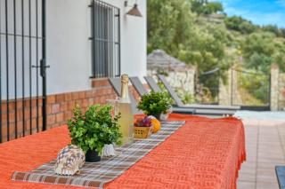 Finca Aurelia in countryside Malaga - TCM - Sayalonga - 3