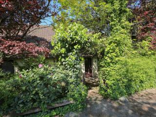 Ferienwohnung Ebbe, FeWo Vermittlung Nordsee - Dangast - 7