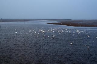 Ferienwohnung Ebbe, FeWo Vermittlung Nordsee - Dangast - 7