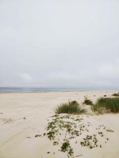 Wooden House Close to the Beach - Pērkone - 4