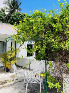 Town Hill - Kegalle - 4