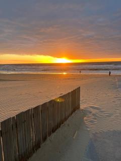 Ann's Cozy Tides by sea with sun-shower in Noordwijk - 3