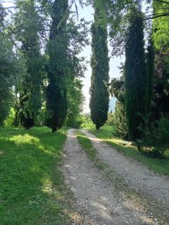 Your nest on LAKE GARDA - Affi - 2
