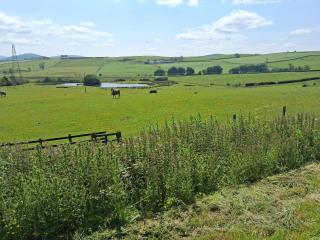 Threecrofts Farm - Dumfries - 8