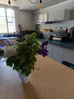 Gîte L'instant Ressource pour rassemblement familial ou entre amis au coeur de la Puisaye Forterre - Villiers-Saint-Benoît - 8