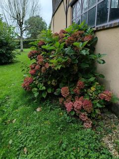 Gîte L'instant Ressource pour rassemblement familial ou entre amis au coeur de la Puisaye Forterre - Villiers-Saint-Benoît - 3