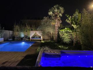 Unique! jacuzzi privé 35°C + cinéma Villa entière - Meyzieu - 0
