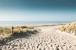 Ann's Cozy Tides by sea with sun-shower in Noordwijk - Noordwijk - 9