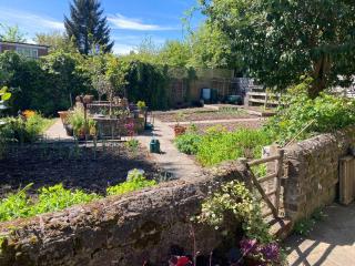Borough Lee - Midhurst - 2