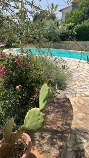 Casa delle Rondini - Casalini - 6