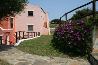Carolina Apartment - Stintino - 2