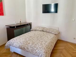 Premium Classical Apartment with Free Parking - Vienne - 5