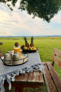 little red hen - Vosburg - 4