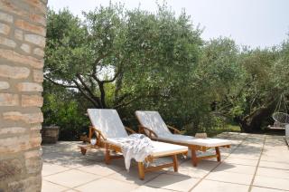 Terre d'Oliviers - Issirac - 7