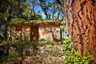 Ferme Saint-Georges en Provence - Le Val - 1