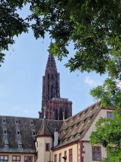 Gunther - Cocon alsacien au centre ville - Estrasburgo - 6