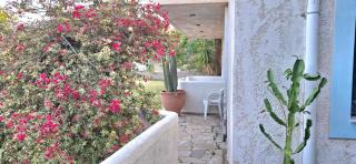 Izabella Studios Apartments - Pitsidia - 9