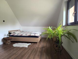 Ranczo Nowodworce - pokoje do wynajęcia - - 1