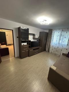 Anto Apartment - Piatra Neamţ - 9