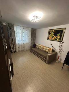 Anto Apartment - Piatra Neamţ - 6