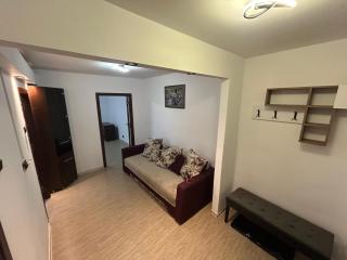 Anto Apartment - Piatra Neamţ - 4