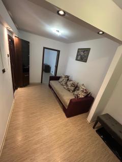 Anto Apartment - Piatra Neamţ - 3