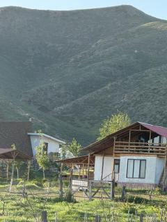 KYZYL-TASH Agrofarm - Egilik - 9