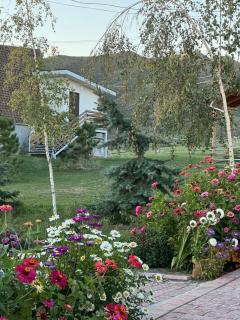 KYZYL-TASH Agrofarm - 8