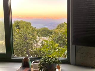 Solara Cabin - Amirim - 4