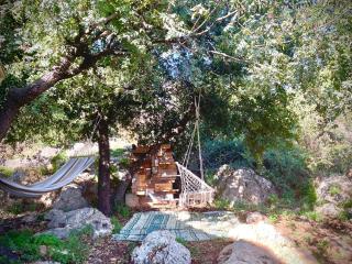 Solara Cabin - Amirim - 9