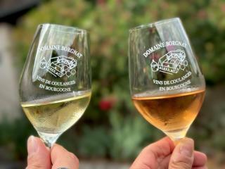 Domaine Borgnat - Escolives-Sainte-Camille - 8