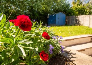 Cozy 3 bed family home by park - Penrith - 2