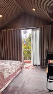 Lily's Stone Garden - 2